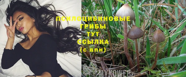 круглые Верея
